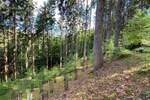 Grundstück Flossenbürg - 170.000&euro; | Angebot:26036735