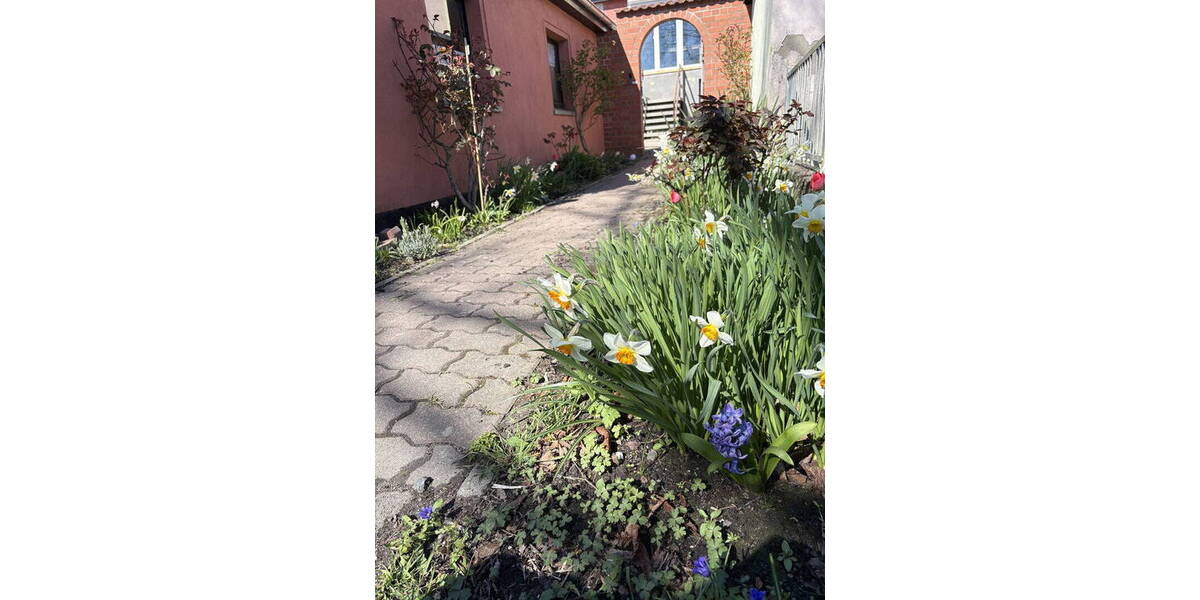 Reihenmittelhaus Barth Stadtkern - 3 Zimmer, 80 m&sup2;, 280.000&euro; | Angebot:26807687