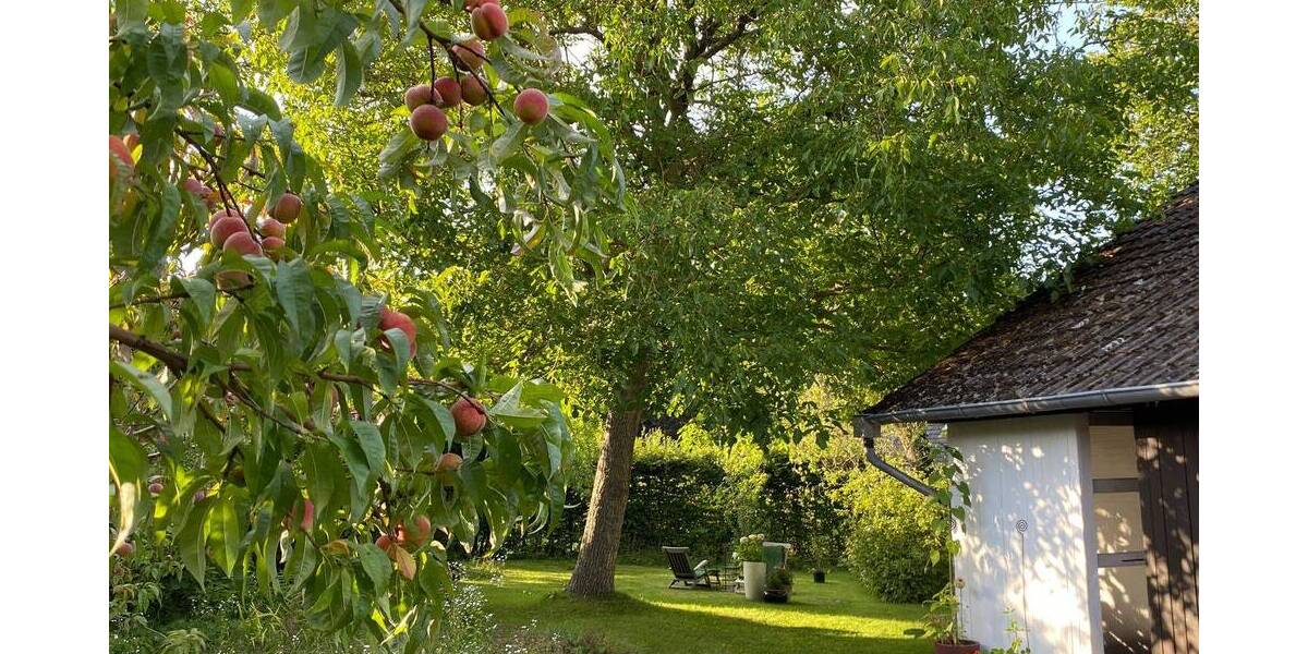 Einfamilienhaus Mölln - 7 Zimmer, 190 m&sup2;, 749.000&euro; | Angebot:26128194