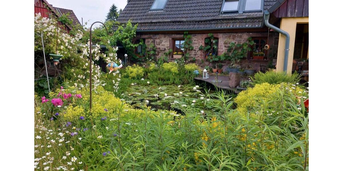 Einfamilienhaus Holzminden - 5 Zimmer, 150 m&sup2;, 350.000&euro; | Angebot:26992017