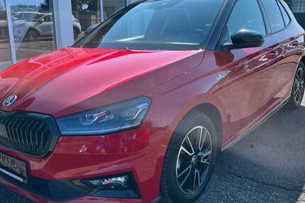 Skoda Fabia 9.639 km 22.990 € Tessin 18195