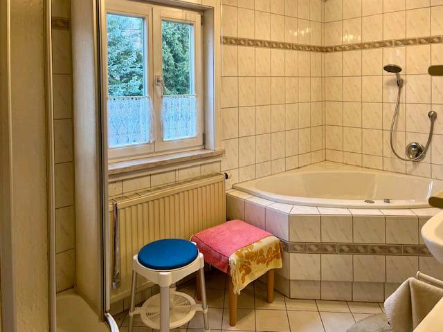 Großzügiges 10-Zi. Holzhaus in Top Lage + große GarageWerkstatt 10 zimmer