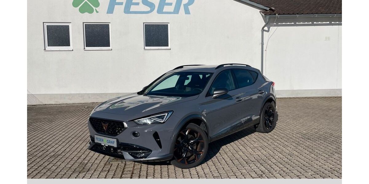 Cupra Formentor 22.500 km 27.950 &euro; Heideck 91180