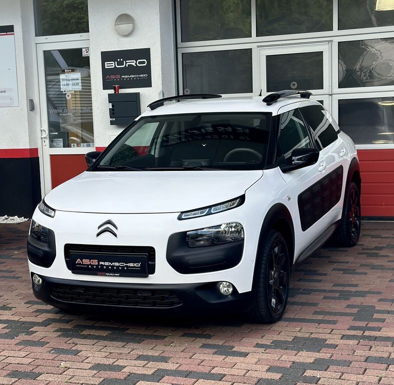 C4 Cactus