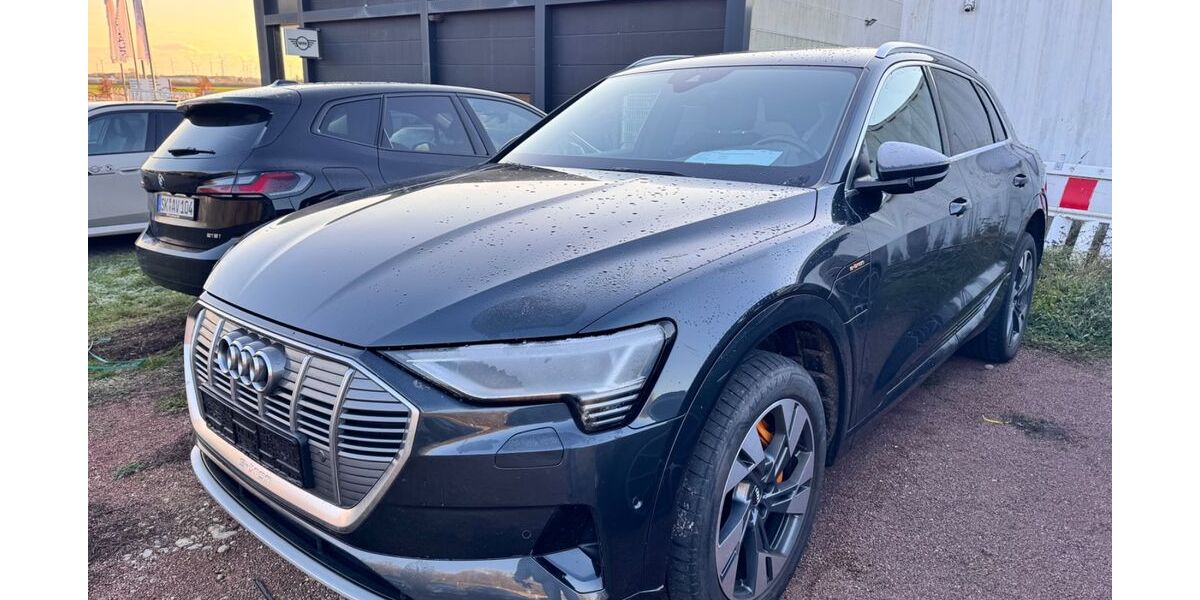 Audi e-tron 52.000 km 27.490 &euro; Lengede OT Broistedt 38268