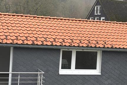 Wohnung Walkenried - 2 Zimmer, 50 m&sup2;, 290&euro; | Angebot:26252495
