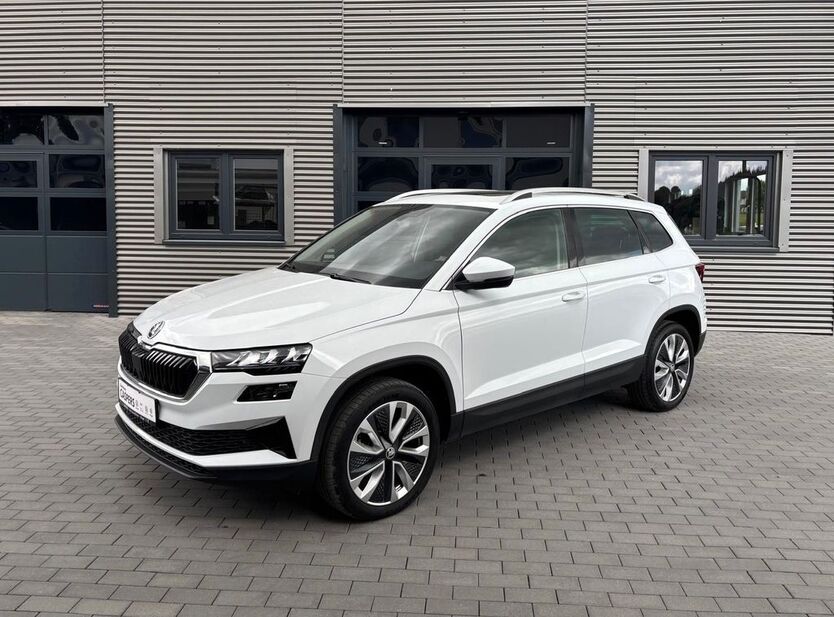Skoda Karoq 16.919 km 29.500 € Birgel 54587