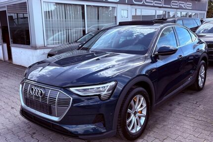 Audi e-tron 149.000 km 18.990 &euro; Ulm-Jungingen 89081