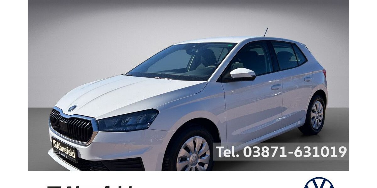 Skoda Fabia 10.500 km 14.950 &euro; Parchim 19370