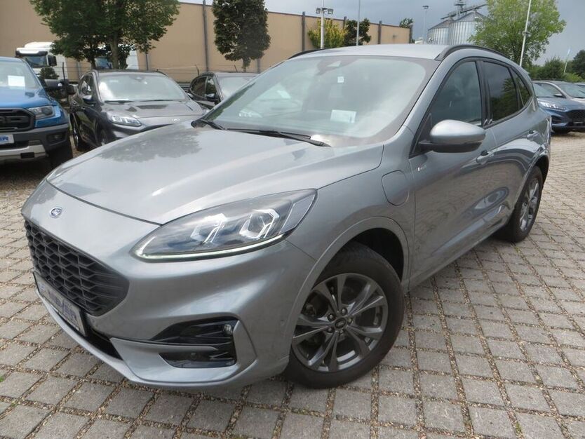 Kuga
