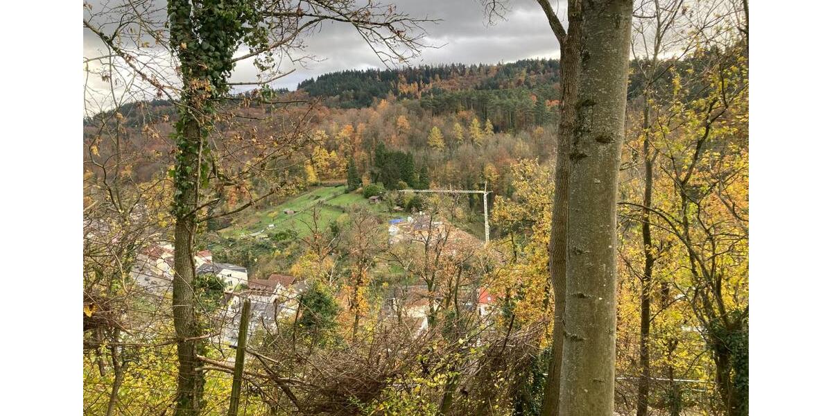 Grundstück Weinheim - 69.000&euro; | Angebot:23843184