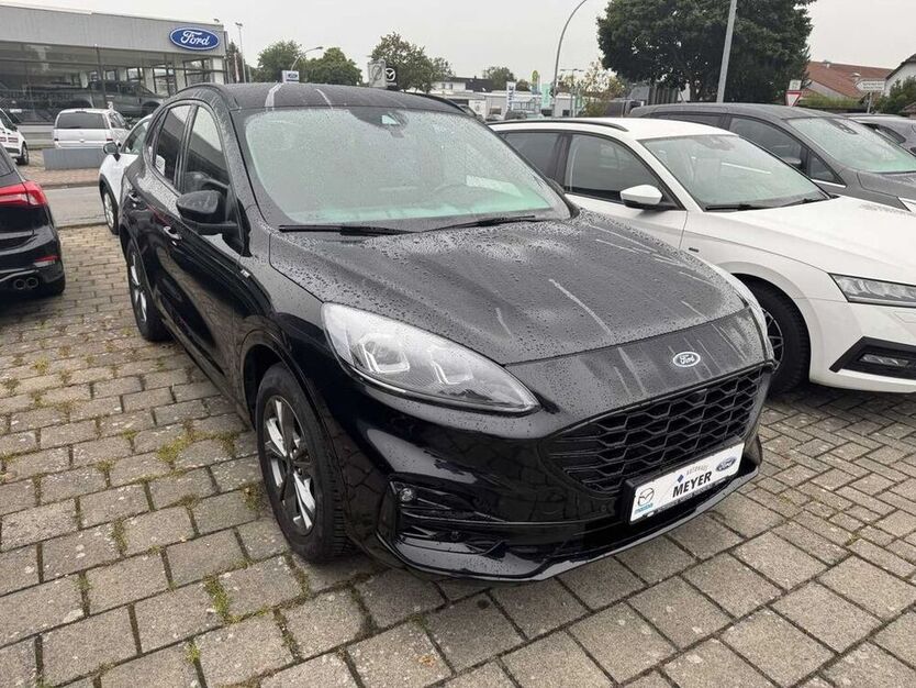 Kuga