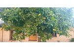 Einfamilienhaus Twistringen - 7 Zimmer, 118 m&sup2;, 246.000&euro; | Angebot:27126850