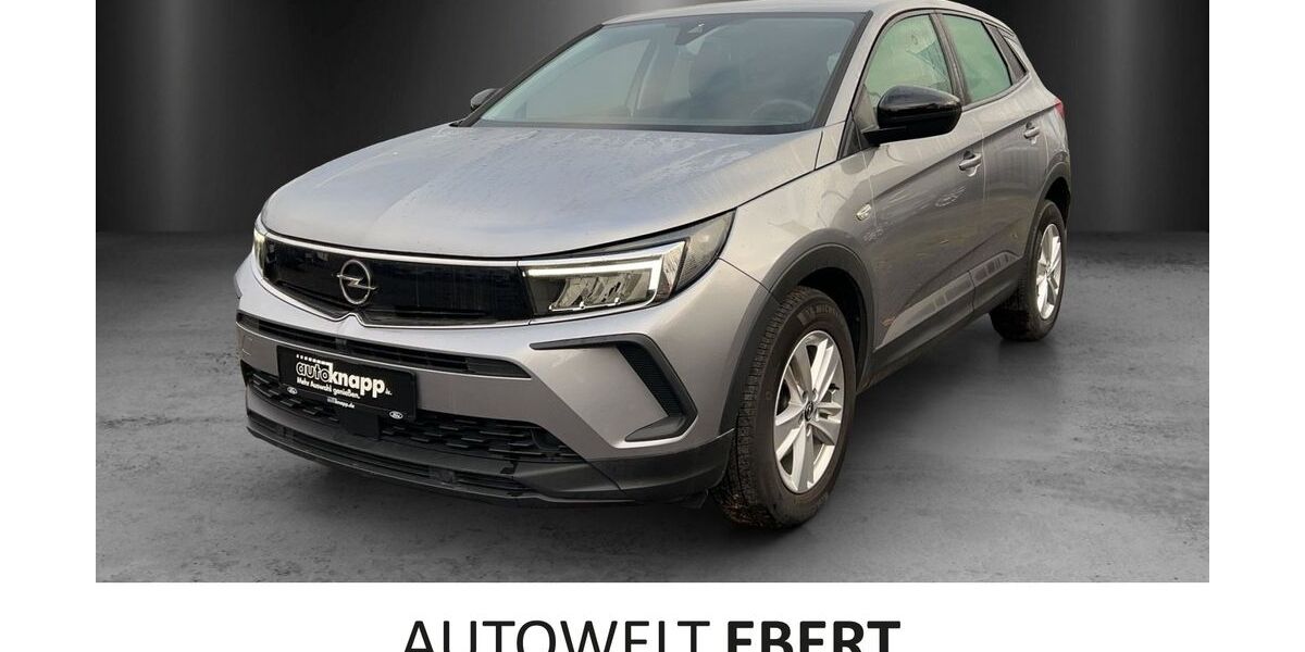 Opel Grandland (X) 30.203 km 20.440 &euro; Frankenthal 67227