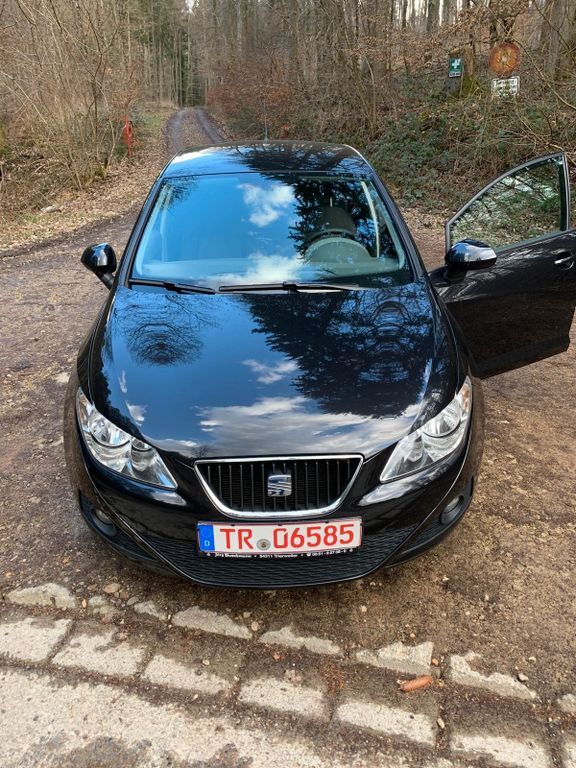 Seat Ibiza 192.000 km 2.300 € Schweich 54338
