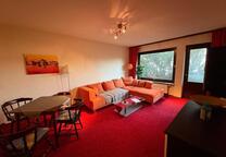 Gemütliche Wohnung in Braunlage 1,5-Zimmer-Wohnung