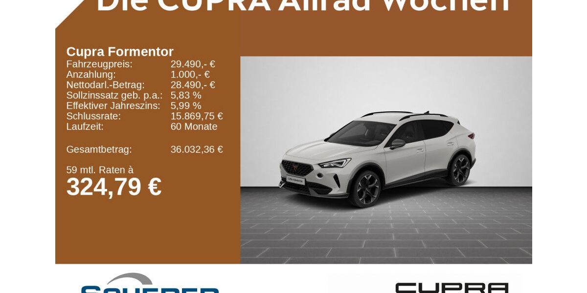 Cupra Formentor 69.085 km 29.490 &euro; Saarbrücken 66115