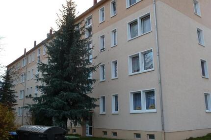 Wohnung Südliches Anhalt - 3 Zimmer, 60 m&sup2;, 239&euro; | Angebot:26095181