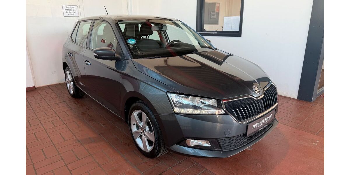 Skoda Fabia 73.000 km 9.999 &euro; Henstedt-Ulzburg (bei Hamburg) 24558