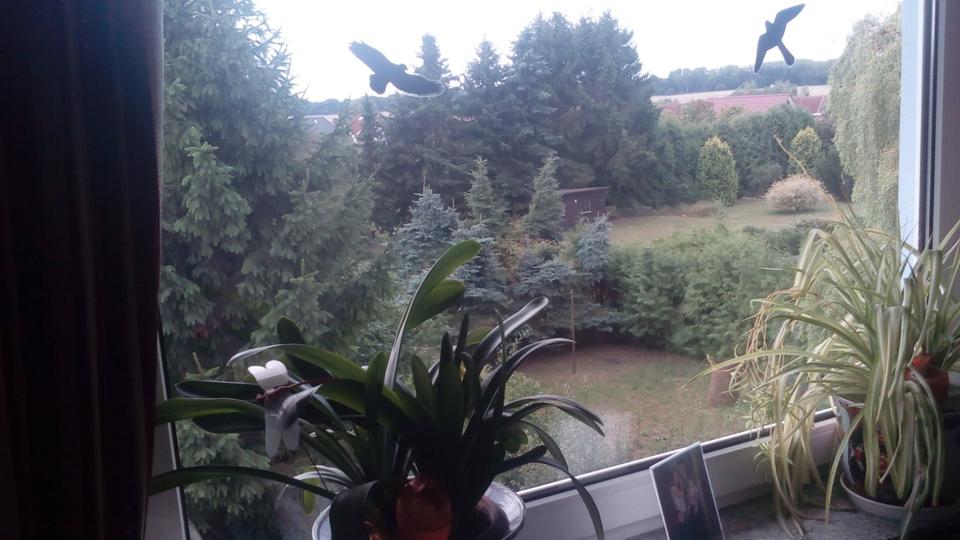 Etagenwohnung Dassow - 2 Zimmer, 50 m&sup2;, 490&euro; | Angebot:26048831