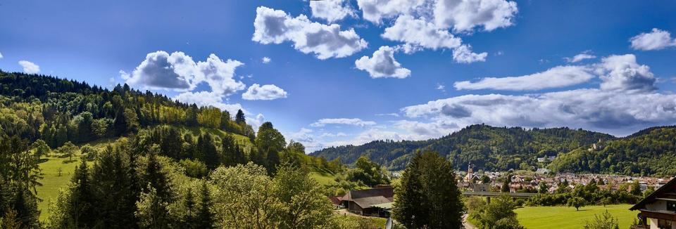 Terrassenwohnung Waldkirch - 5.5 Zimmer, 196 m&sup2;, 1.269.990&euro; | Angebot:26313801