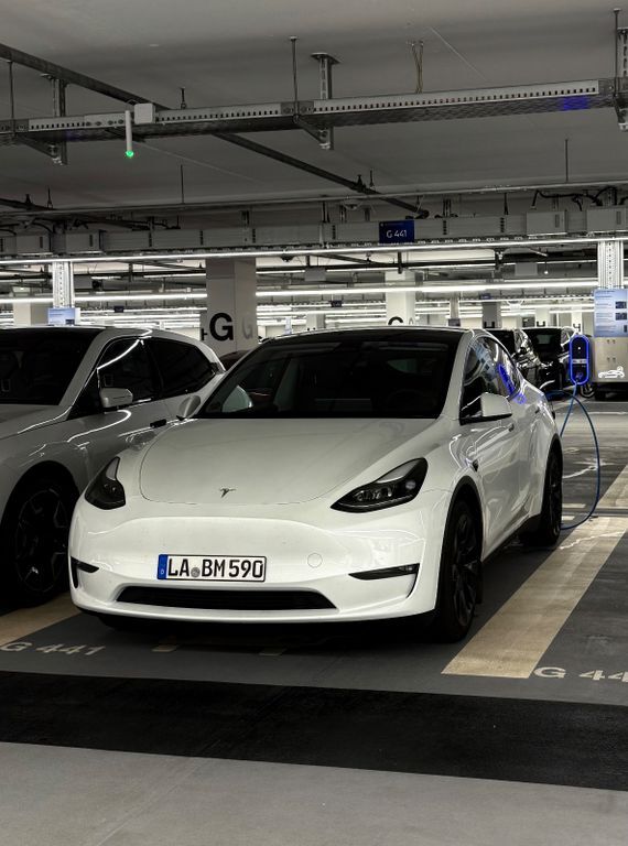 Model Y