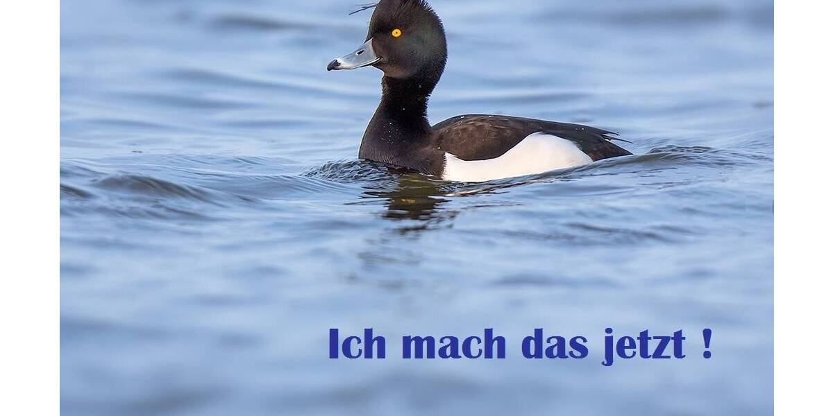 Etagenwohnung Bleckede - 4 Zimmer, 83 m&sup2;, 135.000&euro; | Angebot:25775458