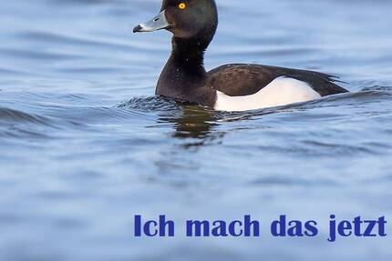 Wohnung Bleckede - 4 Zimmer, 83 m&sup2;, 135.000&euro; | Angebot:25775458