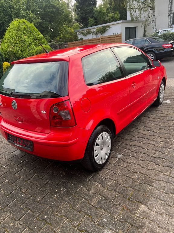 Polo