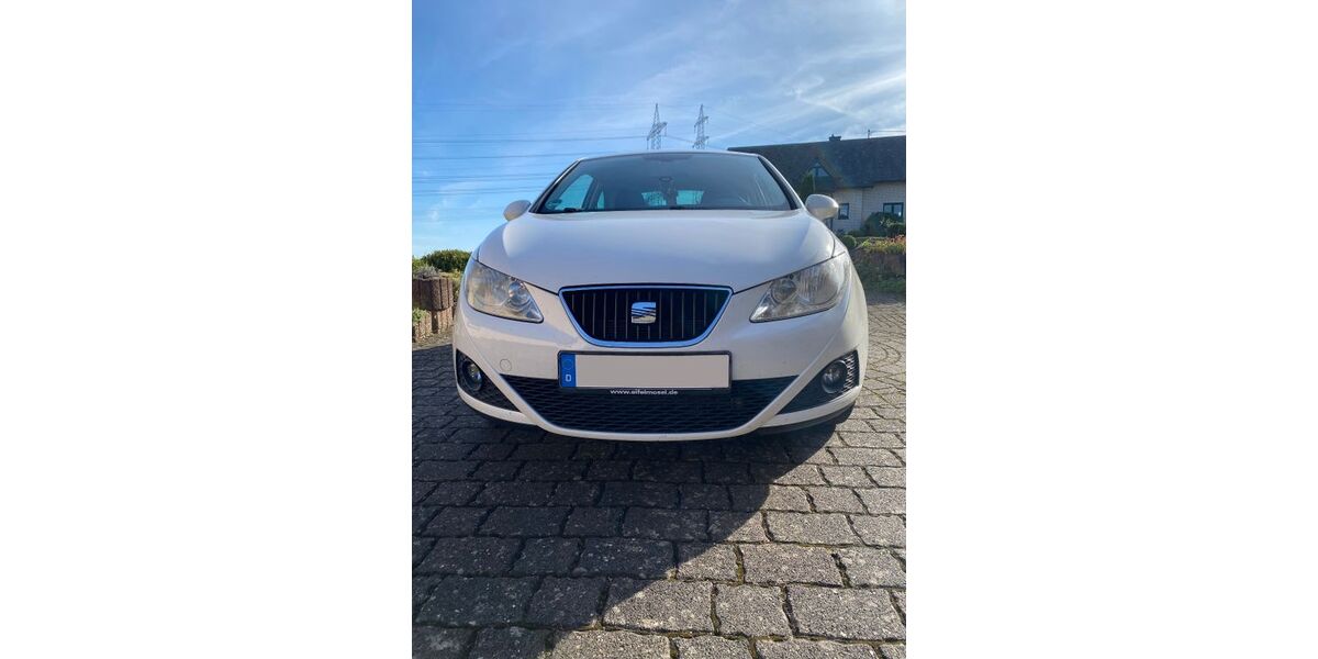 Seat Ibiza 118.912 km 4.949 &euro; Forst (Eifel) 56754