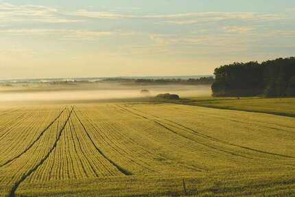 Grundstück Tecklenburg - 499.000&euro; | Angebot:22912760
