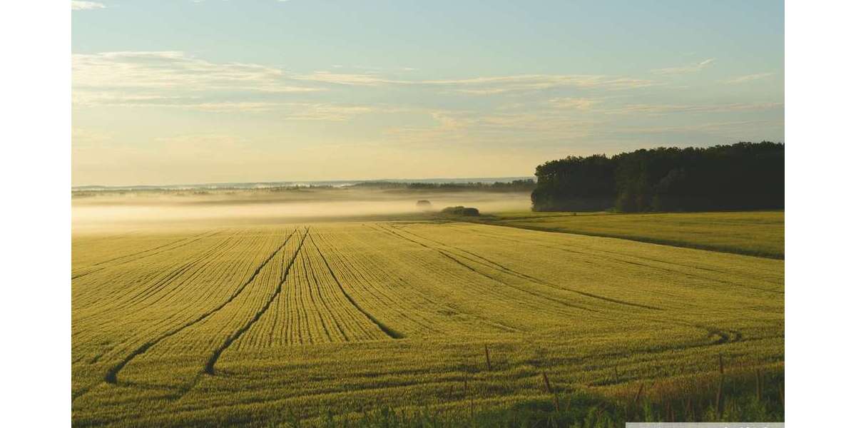 Grundstück Tecklenburg - 499.000&euro; | Angebot:22912760