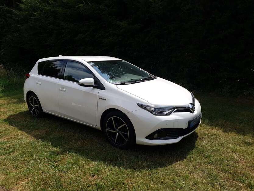 Auris