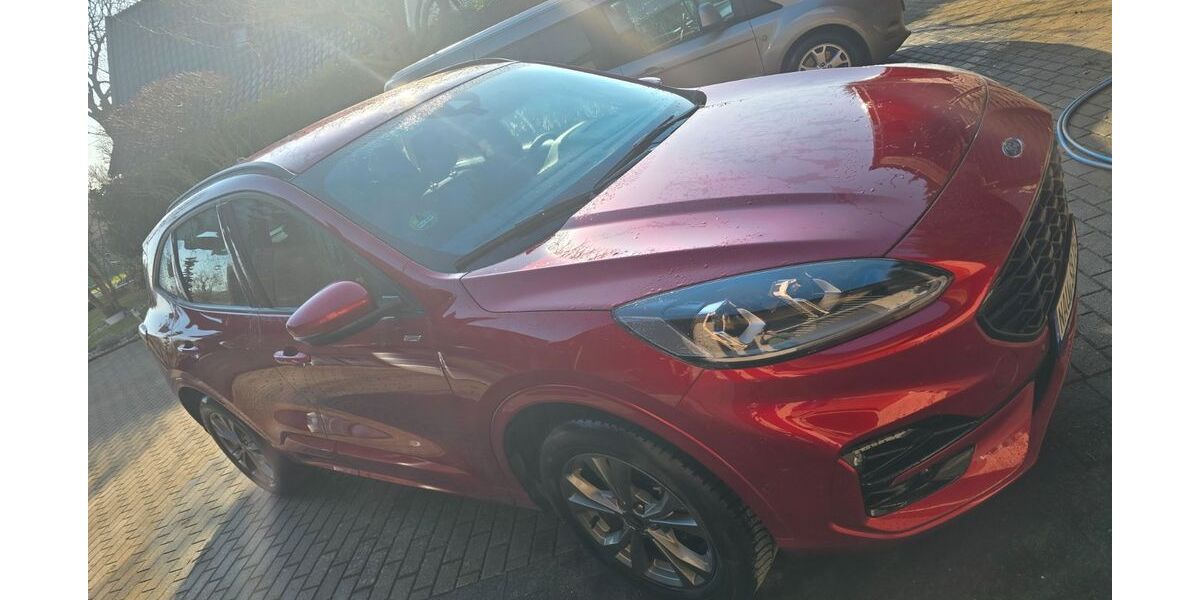 Ford Kuga 25.200 km 27.950 &euro; Nauen 14641