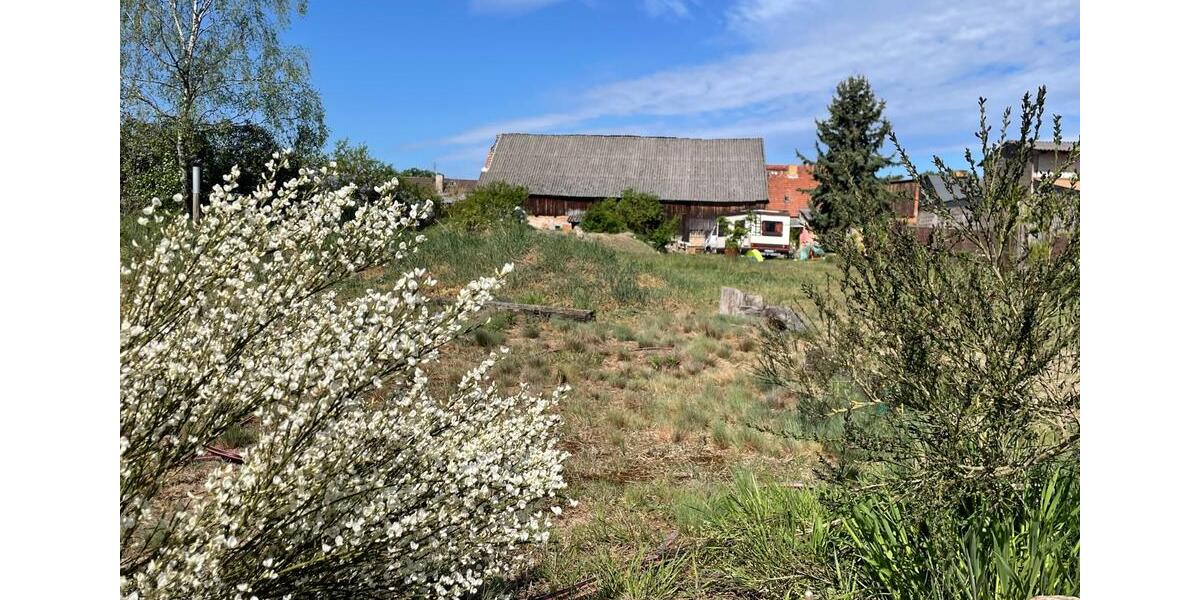 Bauernhaus, Landhaus Schorfheide - 8 Zimmer, 220 m&sup2;, 310.000&euro; | Angebot:26124810