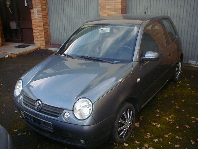 Lupo