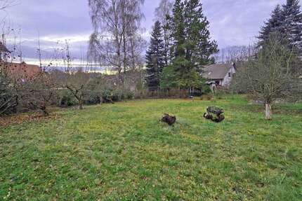 Grundstück zu verkaufen in Schirgiswalde-Kirschau 85.000 € 1532 m² zimmer