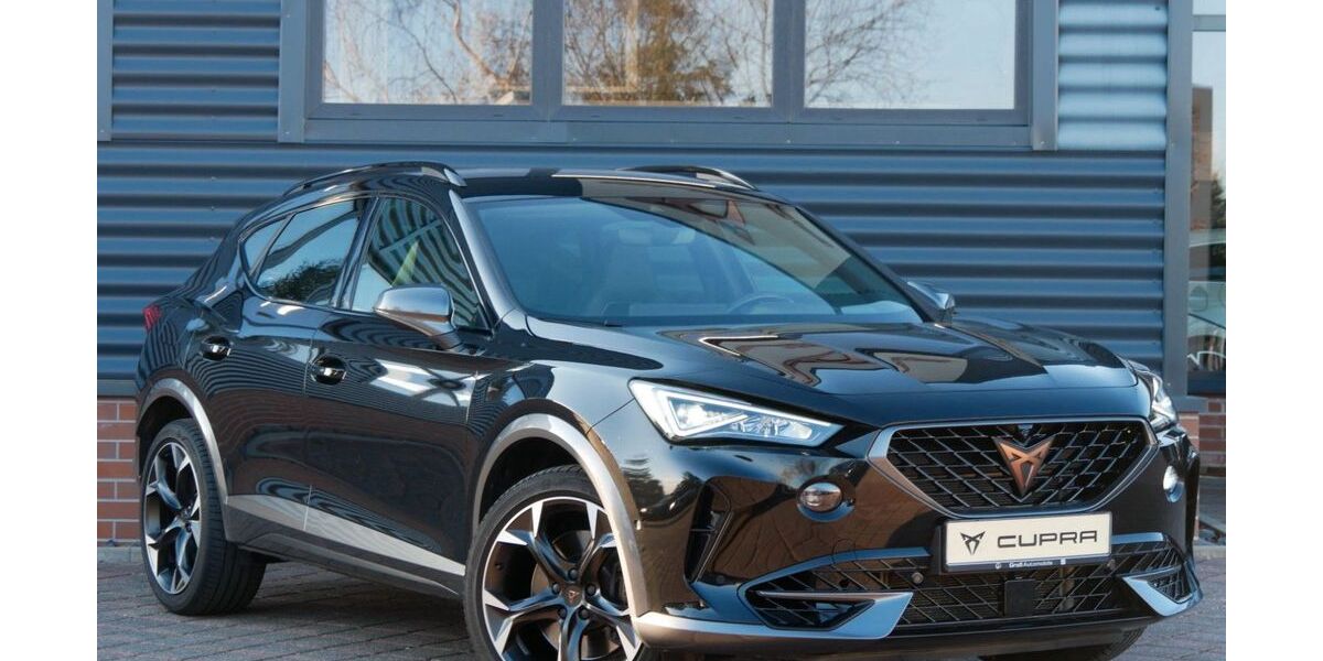 Cupra Formentor 41.996 km 34.390 &euro; Schneeberg 08289