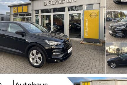 Opel Grandland (X) 80.718 km 14.860 &euro; Worpswede 27726