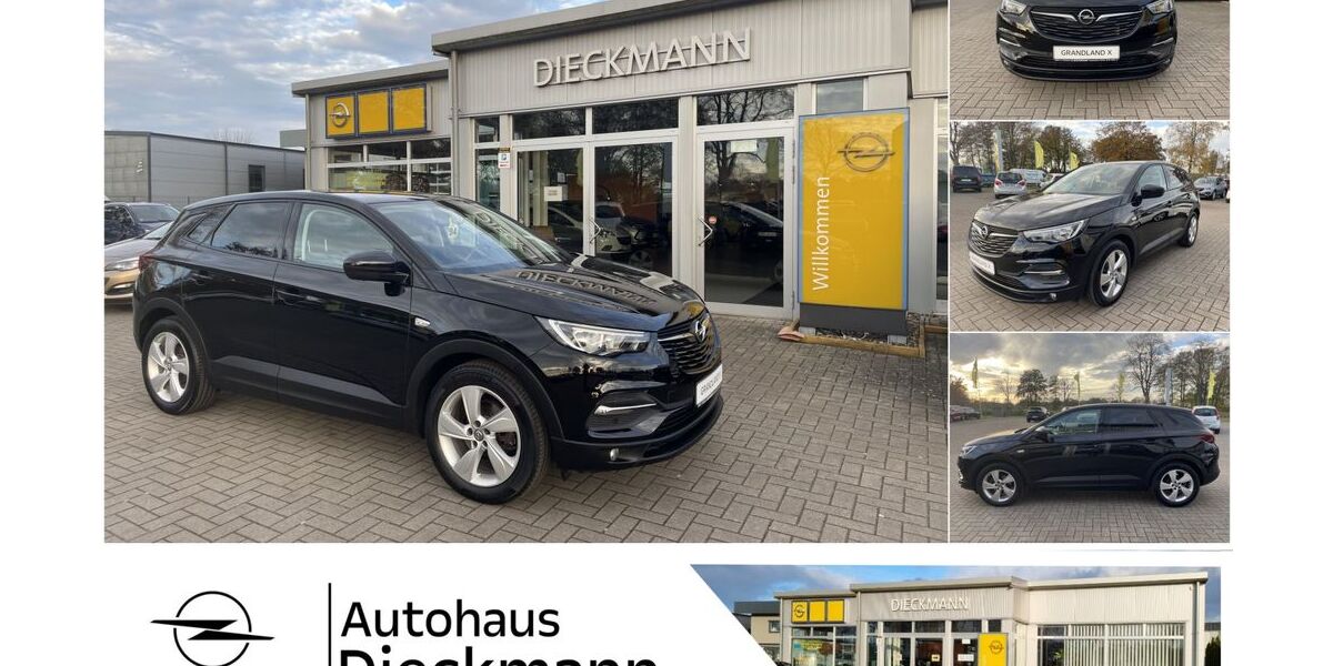 Opel Grandland (X) 80.718 km 14.860 &euro; Worpswede 27726