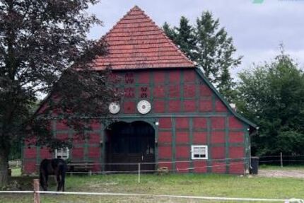 Historischer Niedersachsen- Bauernhof in Fachwerk mit Pferdeboxen u. tollen Eichenbaumbestand - Gewerbeobjekt Diepenau | Angebot:26302225