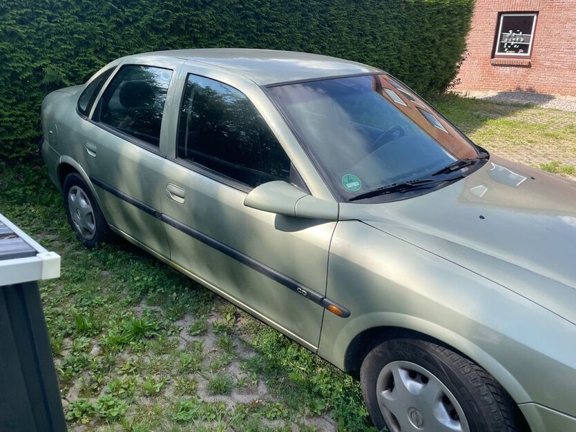 Vectra