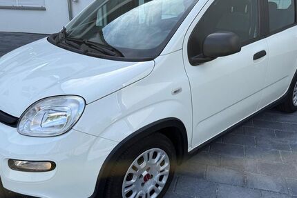 Fiat Panda 46.190 km 10.300 &euro; Lahr 77933