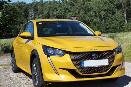 Peugeot e-208 49.658 km 14.490 &euro; Hausen 93345