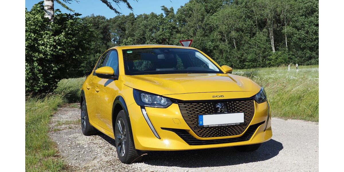 Peugeot e-208 49.658 km 14.490 &euro; Hausen 93345