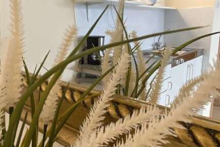 Wohnung Düsseldorf Pempelfort - 1 Zimmer, 27 m&sup2;, 850&euro; | Angebot:26767403