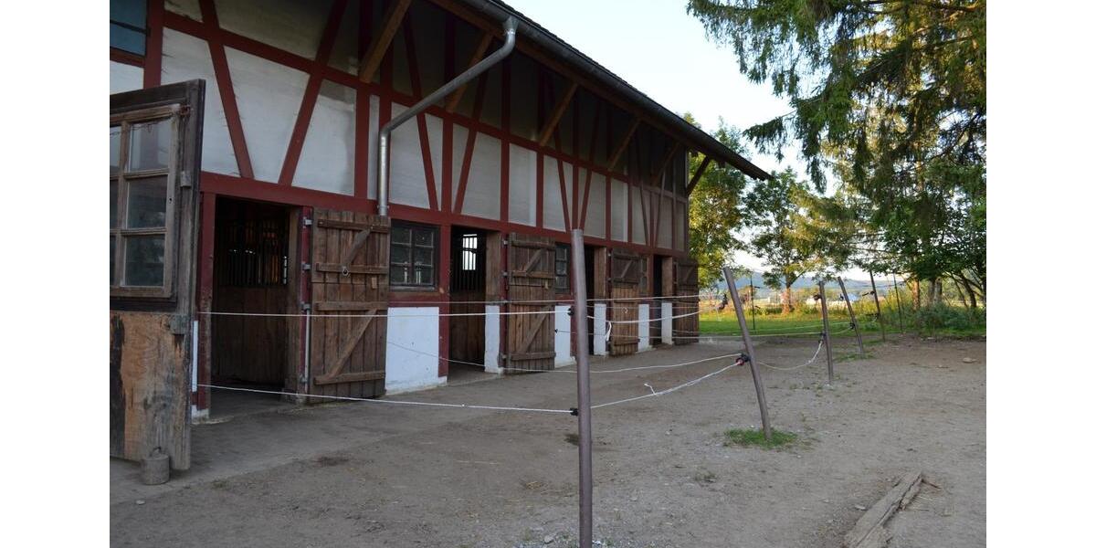 Bauernhaus, Landhaus Leutkirch im Allgäu - 7 Zimmer, 250 m&sup2;, 1.100.000&euro; | Angebot:26958637