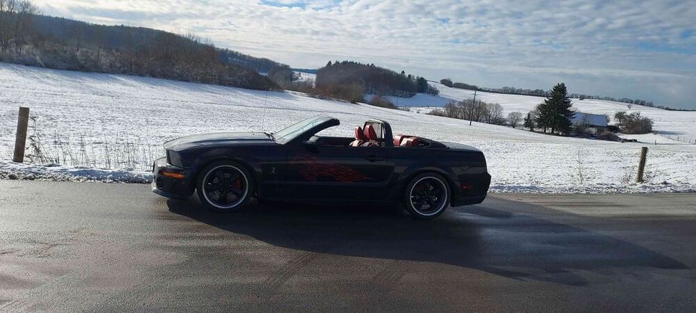 Mustang