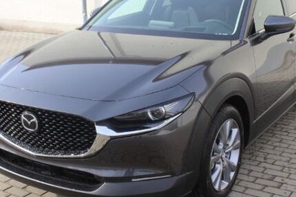 Mazda CX-30 48.000 km 20.980 &euro; Torgau 04860