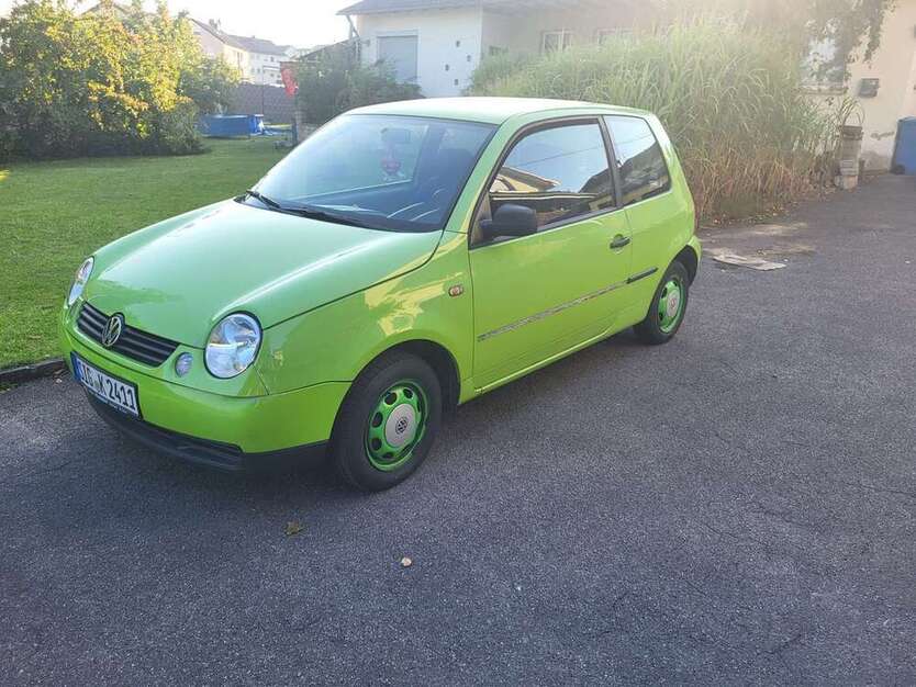 Lupo